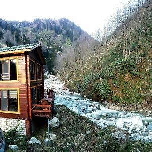 Ayder Elizan Otel